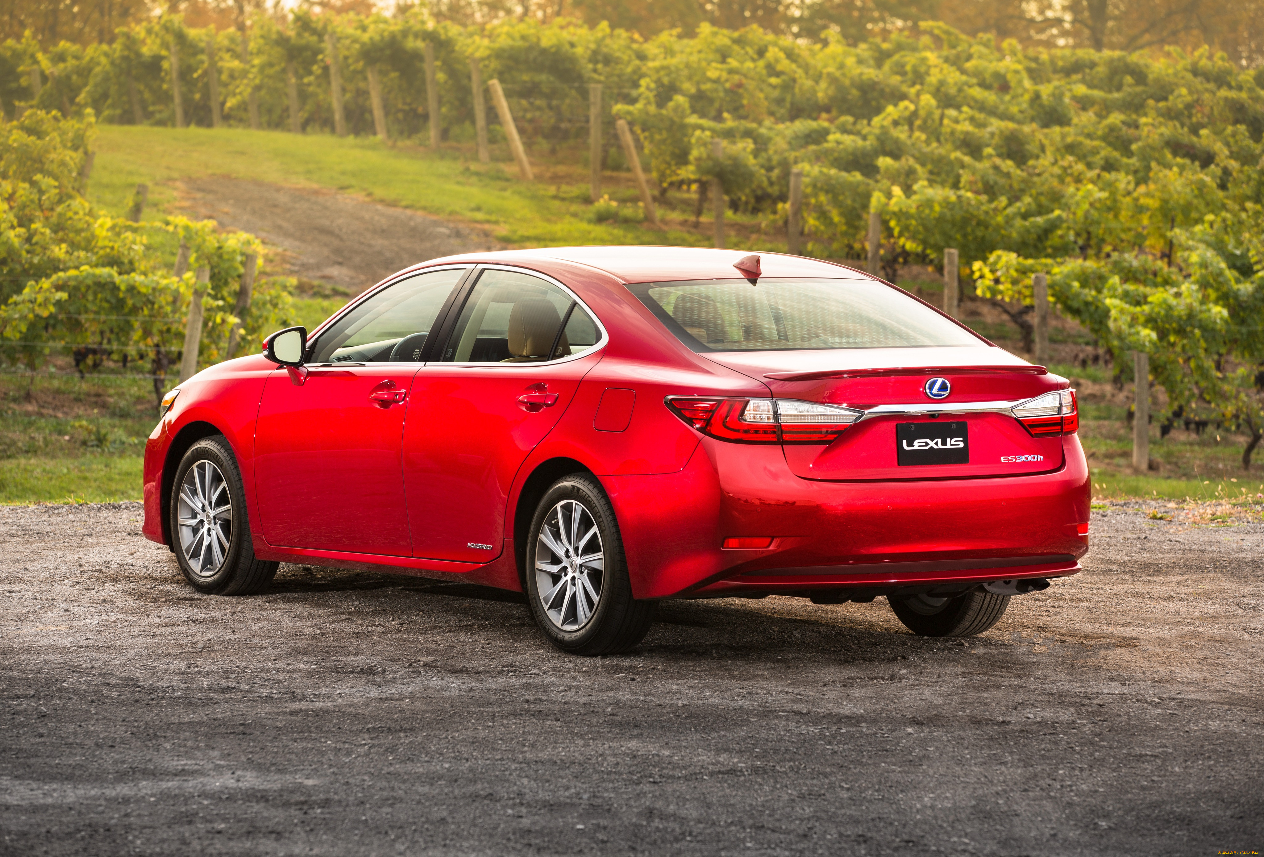 , lexus, 2016, es, 300h, xv60, 